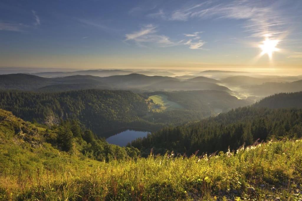Waldklang Titisee Extérieur photo